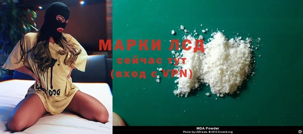 сатива Аркадак