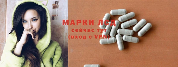 сатива Аркадак