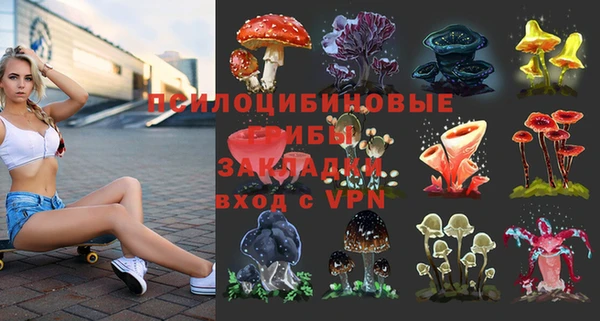 амф Арсеньев
