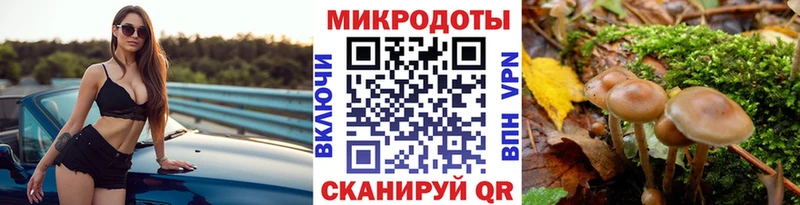 Купить где  Иннополис  Галлюциногенные грибы GOLDEN TEACHER 