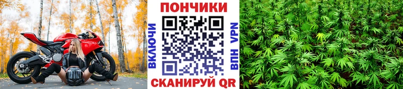 Канабис Amnesia  Купить где  Иннополис 